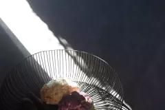 Maxima_262