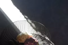 Maxima_262