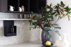 Maxima_173