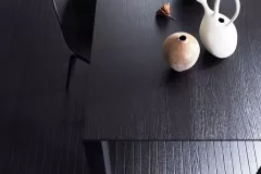 Maxima_105