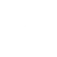 Aster