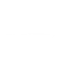 FLEXTEAM
